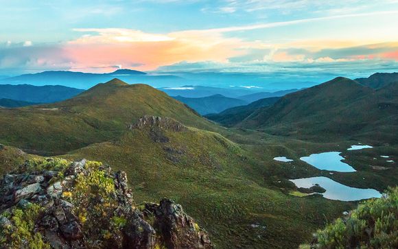 Uw programma van 7 nachten