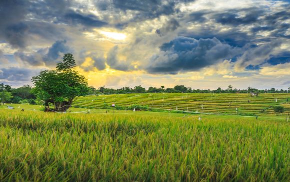 Welkom in... Indonesië