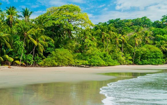 Uw reisprogramma in 7 nachten