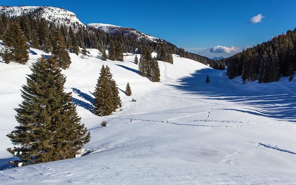 Welkom in ... Madonna di Campiglio!