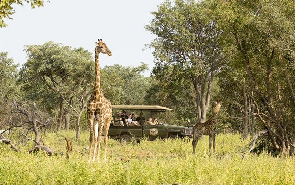 Uw inbegrepen excursies