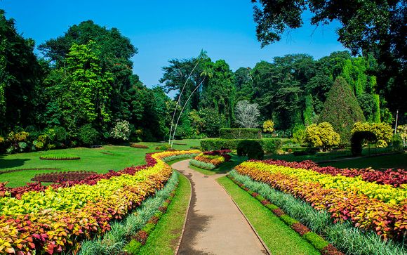 Uw reisprogramma in Sri Lanka
