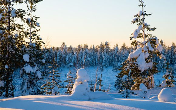Welkom in... Rovaniemi