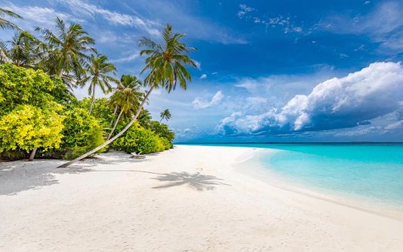 Welcome to the Maldives