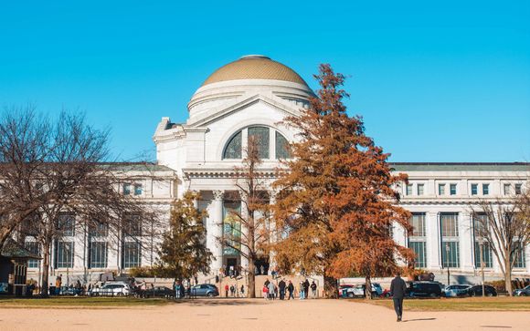 Your included excursions & extras