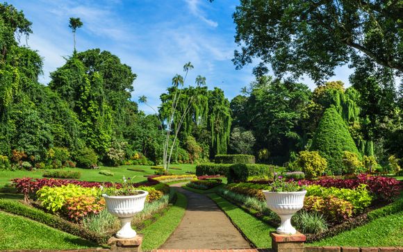 Your optional excursions & extras