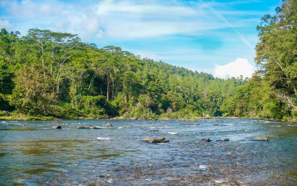 Your optional excursions & extras