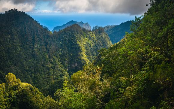 Your itinerary in detail