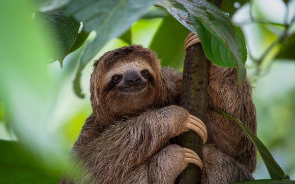 Your itinerary in brief 