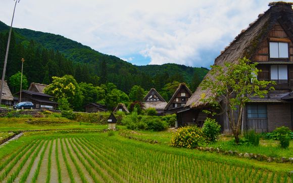 Your itinerary in detail