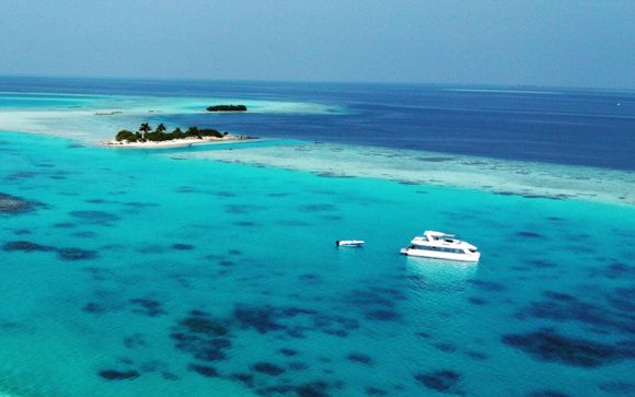 Your cruise at a glance