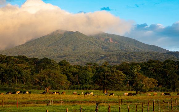 Your optional excursions