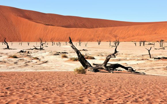 Your included excursions 