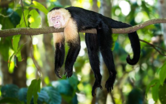 Your road trip in brief