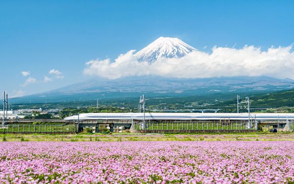 Your itinerary in detail