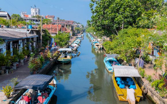 Your optional excursions & extras