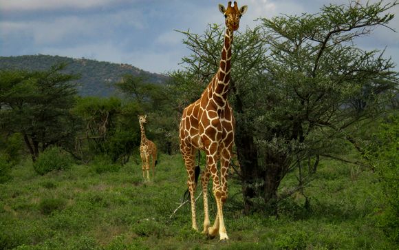 Your itinerary in detail