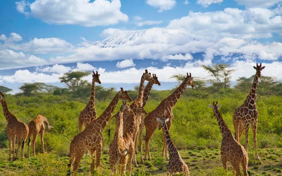 Your itinerary in detail