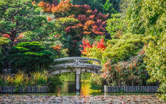 Your itinerary in detail