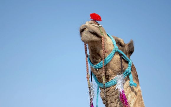 Optional excursions & extras