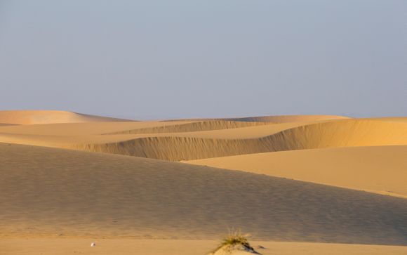 Optional excursions & extras