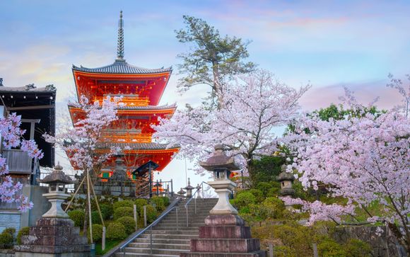 Your itinerary in detail