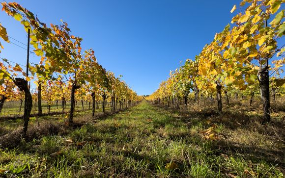 Your included activities