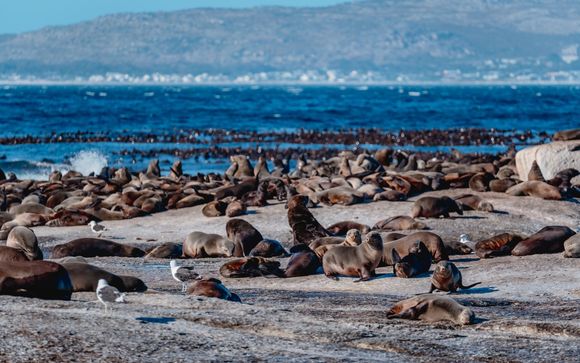 Included extras & excursions 