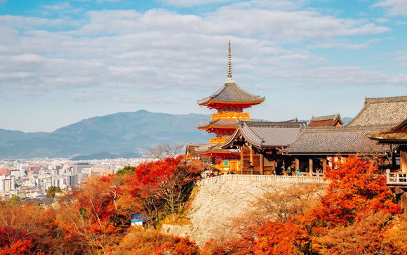 Your itinerary in detail