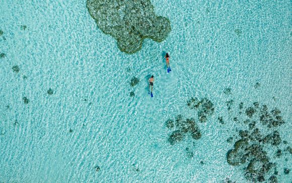 Included: a colourful house reef snorkelling experience