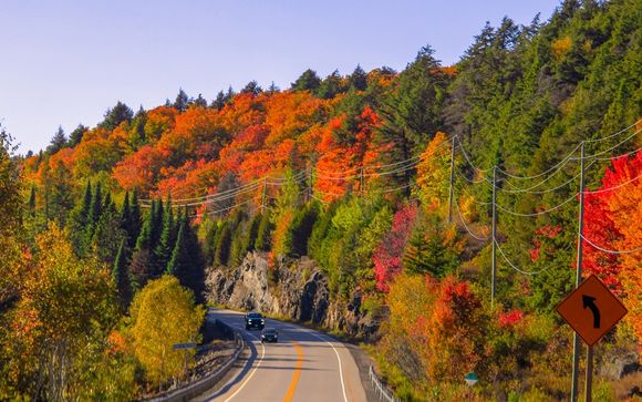 Your itinerary in detail