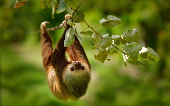 Included excursion and extras