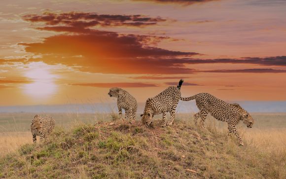 Your itinerary in detail