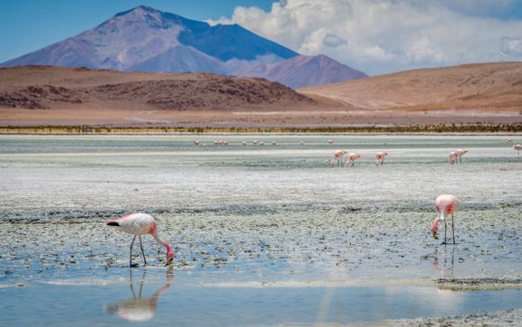 Your optional excursions & extras