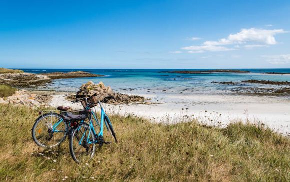 Your optional activities