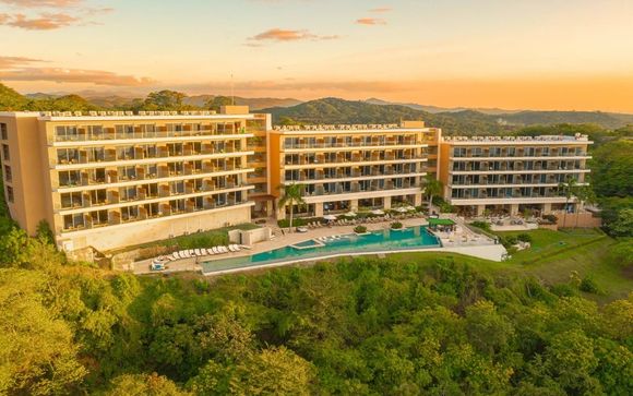 Your hotels