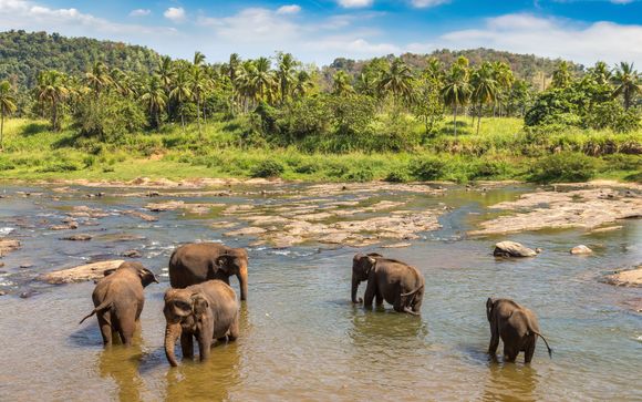 Your included extras & excursions 