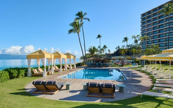 Your hotels