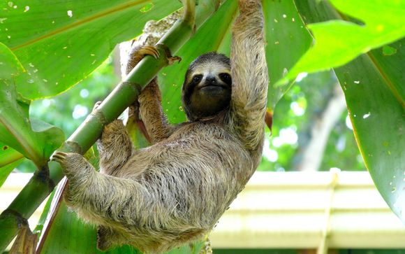 Your Itinerary In Detail