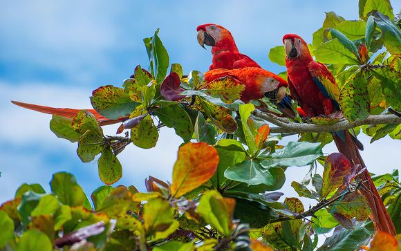 Your Itinerary In Brief