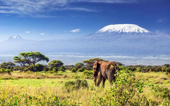 Welcome to Kenya!