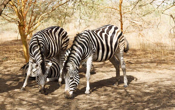 Your Itinerary In Detail