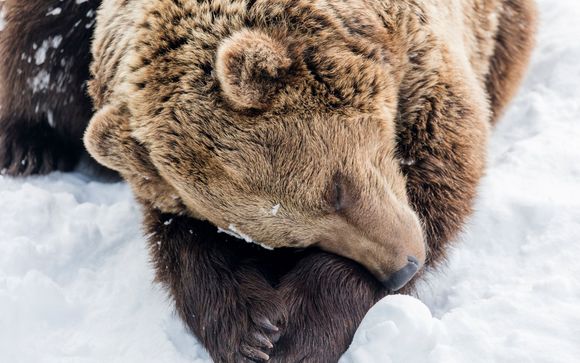 An adventure of a lifetime...