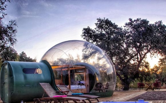 El Toril Glamping Experience