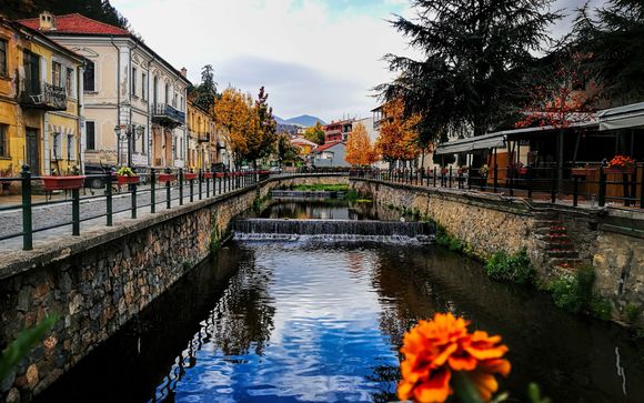 Your Itinerary In Detail