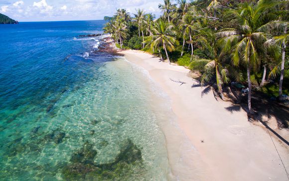 Your Optional Excursions