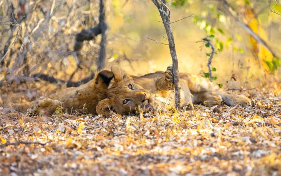 An unforgettable holiday awaits...