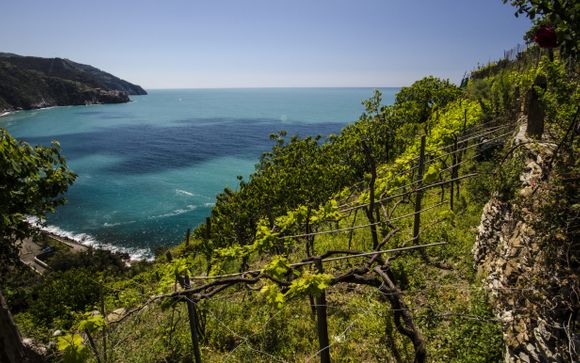 Your Itinerary In Detail