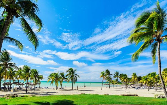 Your Itinerary in Detail