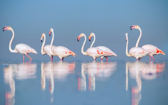 Your Itinerary in Detail 